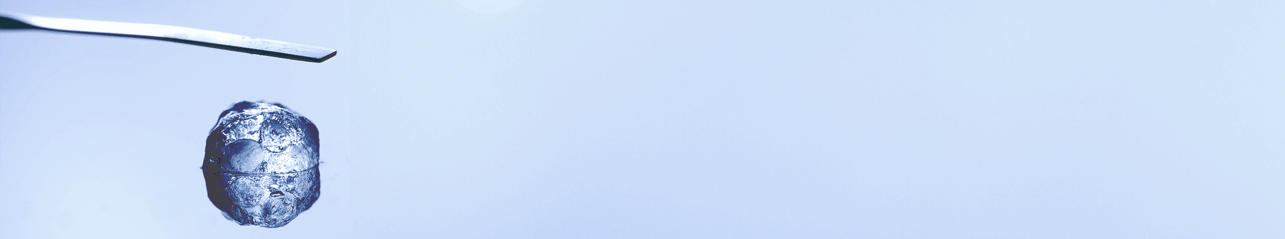 Background banner with dark purple drops
