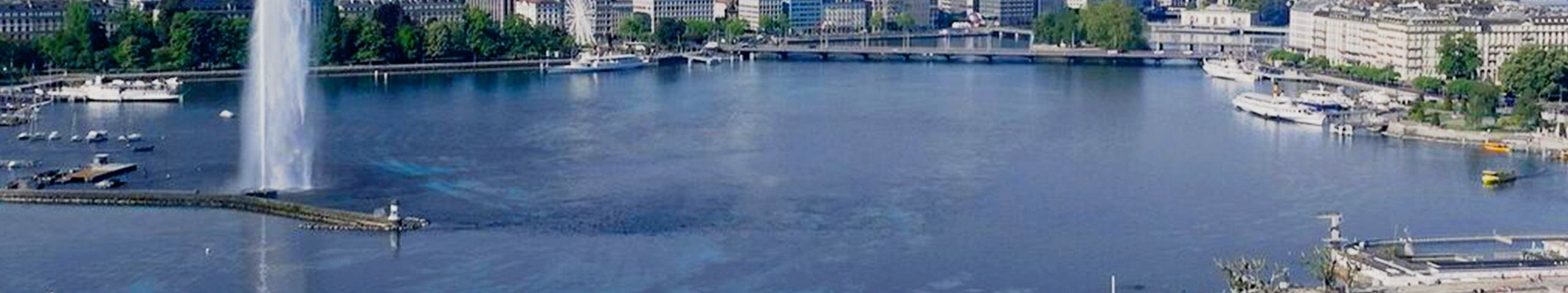 Hot topics & insights